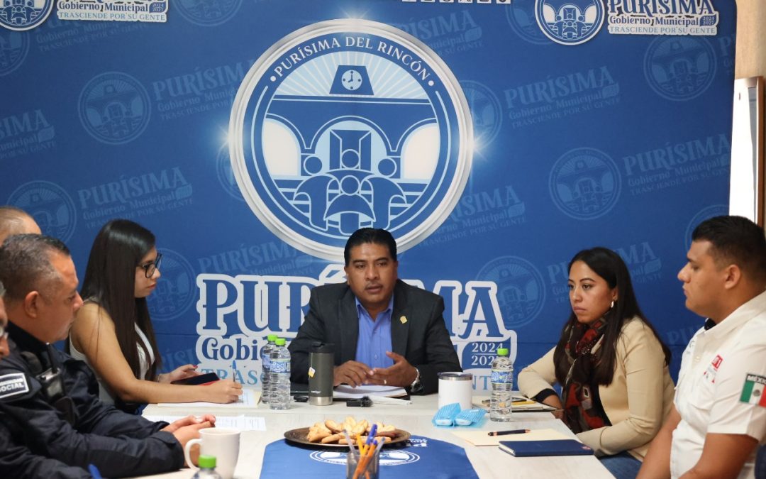 PURÍSIMA CON CÉLULA DE BÚSQUEDA