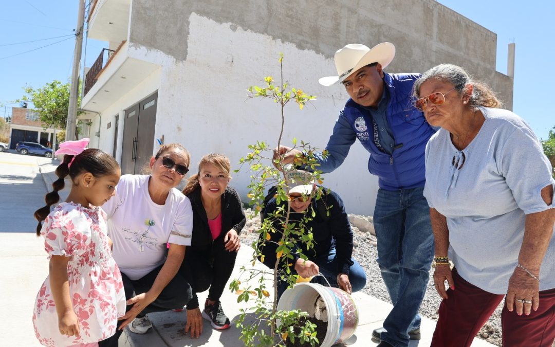 PAVIMENTACIONES CON SENTIDO NATURAL