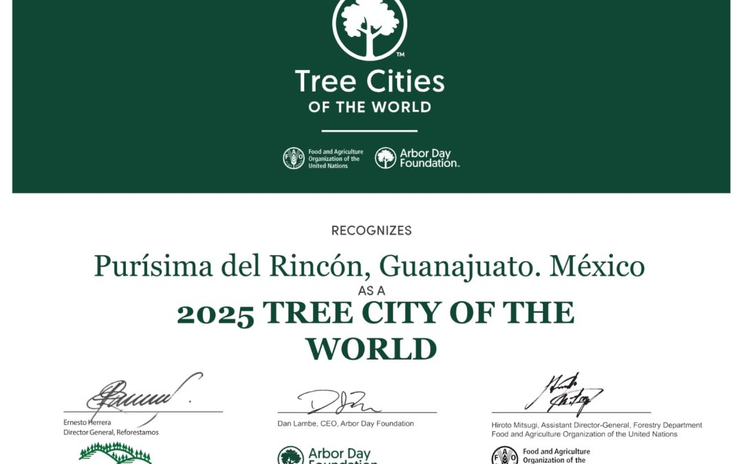 ONU RECONOCE A PURÍSIMA DEL RINCÓN