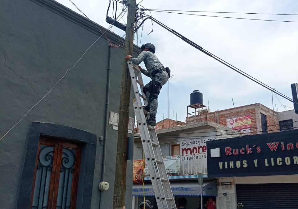 FUERA CÁMARAS PARÁSITO