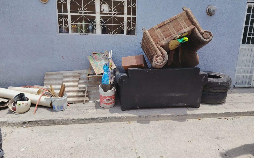 PURÍSIMA EN LIMPIEZA TOTAL