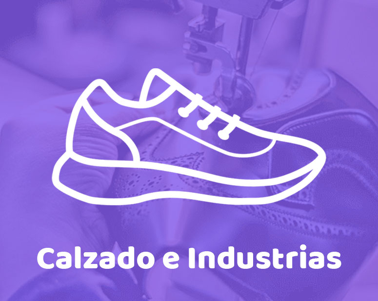 CALZADO